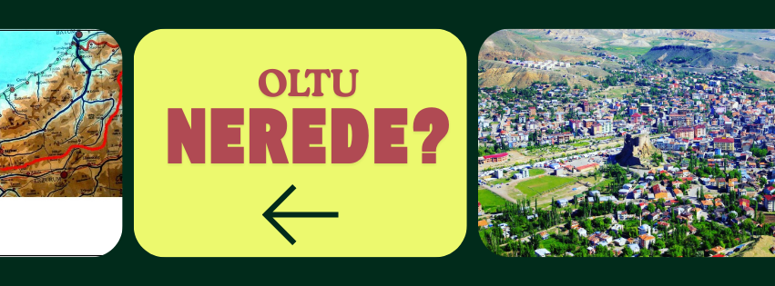 Erzurum Oltu ilçesinin Türkiye haritası üzerindeki coğrafi konumu ve komşuları