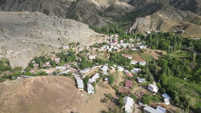 Oltu Çengelli 3